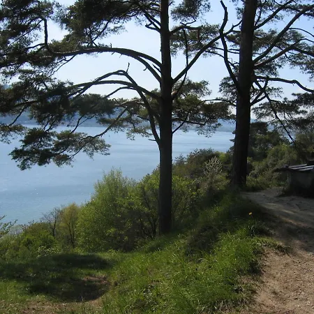 Rebhaus Weinlaube זיפלינגן